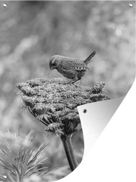 Décoration de Jardin Une angélique plant avec un oiseau dans la nature – noir et blanc – 30×40 cm – Toile de jardin