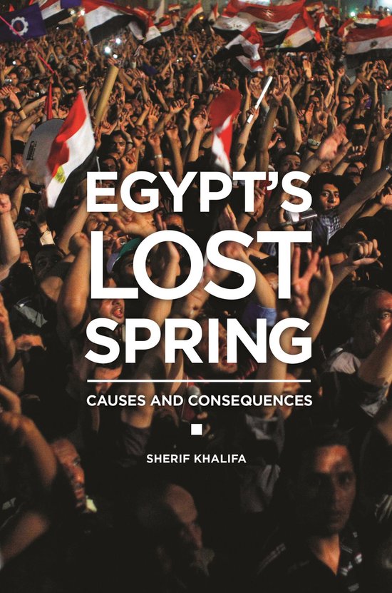 Egypt&rsquo;s Lost SpringEbook Causes and Consequences