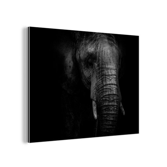 Décoration murale Métal – Peinture Aluminium Industrielle – Éléphant sur fond noir en noir et blanc – 80×60 cm – Dibond – Photo sur aluminium – Décoration murale industrielle – Pour le salon / chambre