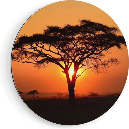 Cercle Mural Artaza Dibond – Coucher de Soleil Derrière Un Arbre de Savane – Ø 90 cm – Groot – Cercle Mural – Tableau Rond – Pour Intérieur et Extérieur