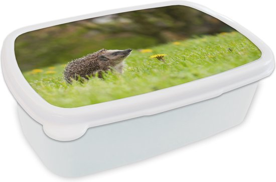 Boîte à pain Wit – Boîte à lunch – Boîte à pain – Hérisson en herbe – 18x12x6 cm – Adultes