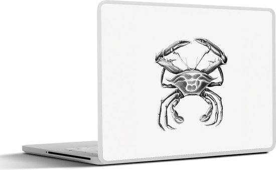 Autocollant pour ordinateur portable – 14 pouces – Ernst Haeckel – Vintage – Art – Crabe – 32x5x23x5cm – Autocollants pour ordinateur portable – Peau pour ordinateur portable – Couverture