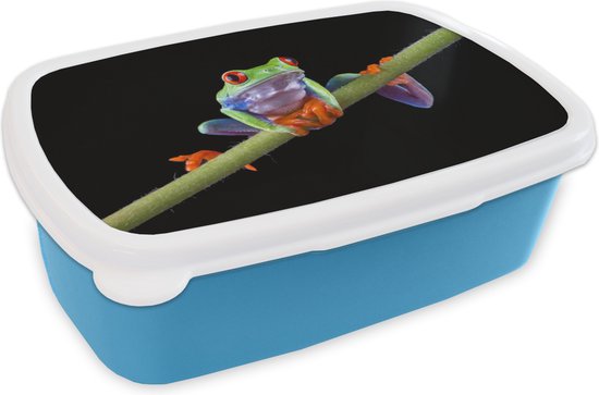 Boîte à lunch Bleu – Boîte à lunch – Boîte à lunch – Grenouille – Plante – Blauw – Zwart cm – Enfants – Garçon – Cadeau Sinterklaas – Distribution de cadeaux pour enfants – Cadeaux chaussures Sinterklaas
