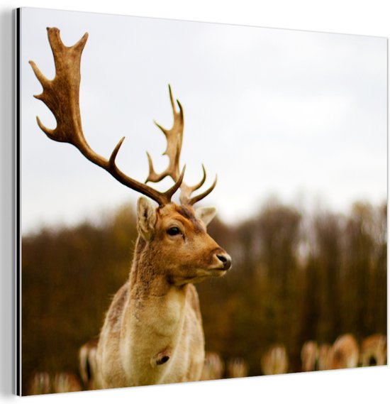 Décoration murale Métal – Peinture Aluminium Industriel – Daims – Forêt – Troupeau – Animaux – Nature – 160×120 cm – Dibond – Photo sur aluminium – Décoration murale industrielle – Pour le salon/chambre