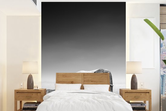 Behang – Fotobehang Olifant – Dieren – Landschap – Zwart wit – zebra – Breedte 165 cm x hoogte 220 cm