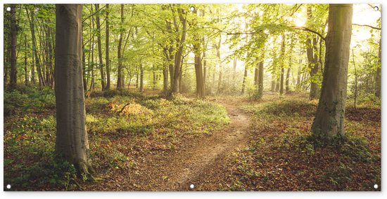 Décoration murale murale extérieure Forêt – Chemin – Lever du Soleil – 160×80 cm
