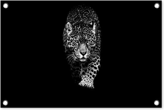 Décoration de jardin Animaux – Zwart – Léopard – Wit – Sauvage – 60×40 cm – Poster jardin – Toile jardin – Poster extérieur
