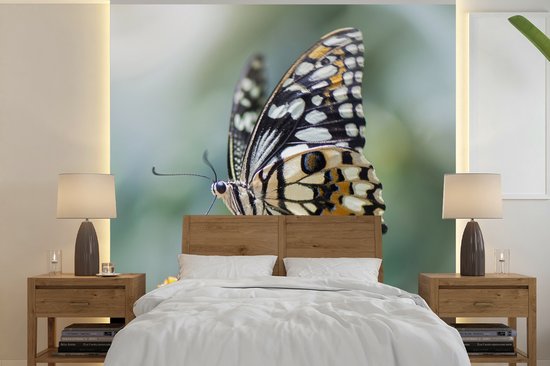 Behang – Fotobehang Pages vlinder op bloem – Breedte 220 cm x hoogte 220 cm