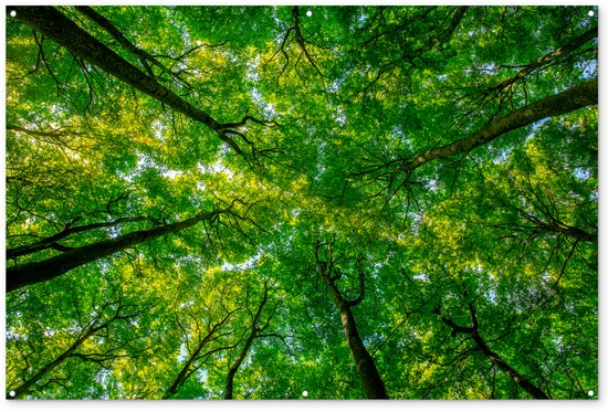 Décoration murale Forêt – Arbres – Vert – 180×120 cm – Poster jardin – Toile jardin – Poster extérieur