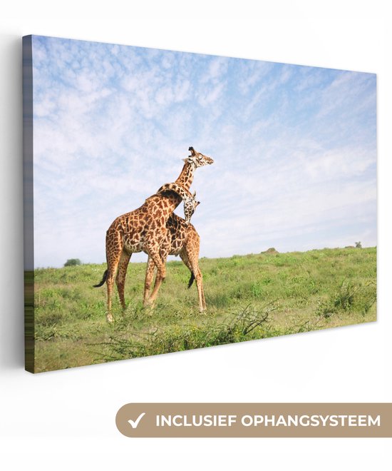 Deux girafes dans les savanes du Parc National du Serengeti en Afrique Toile 140×90 cm – Tirage photo sur toile (Décoration murale salon / chambre)