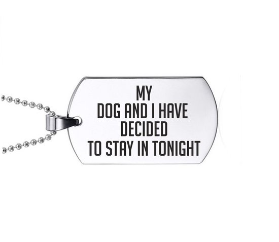 Collier en acier inoxydable – Mon chien et moi avons décidé de rester ce soir