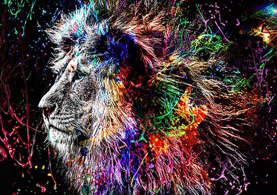 Diamond Painting – Animaux – Lion – 30×40 cm