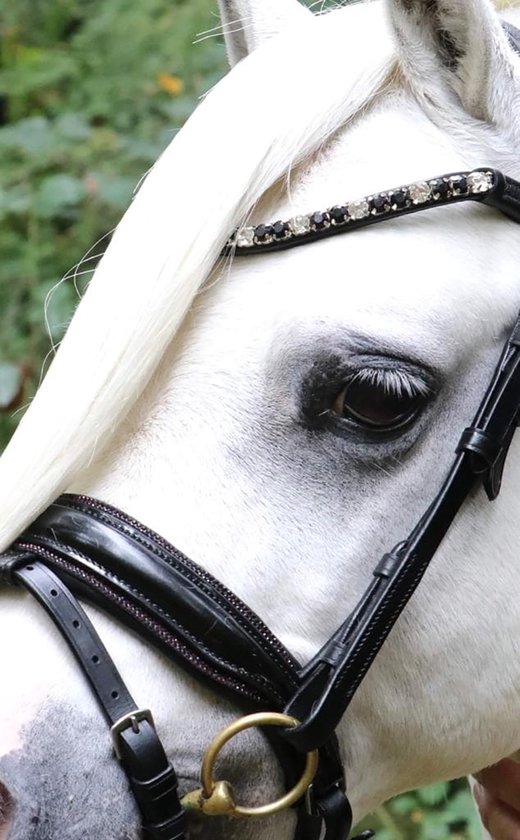 Bride Hb Showtime Special A-pony Zwart et rouge – Zwart et rouge – poney