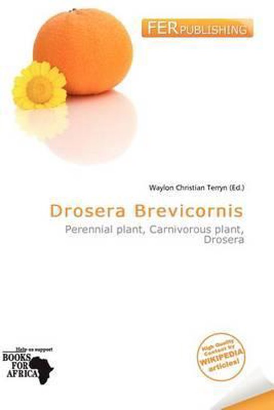 Drosera Brevicornis Perennial plant, Carnivorous plant, Drosera