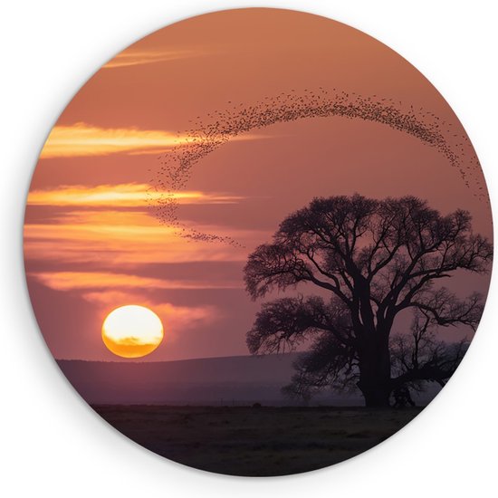 Cercle mural Saammp Forex – Vogels au coucher du soleil – Animaux – Fleurs – Ø 40 – Cercle mural – Cercle de Décoration murale – Décoration murale Salon – Décoration de chambre – Peinture ronde