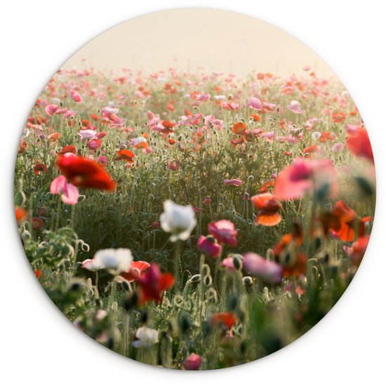 Cercle mural – Cercle mural Indoor – ⌀ 60 cm – Plastique – Coquelicot – Couleurs – Pastel