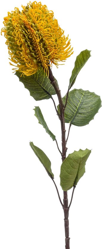 Emerald – Fleur artificielle Banksia jaune 57 cm – Plantes artificielles d&rsquo;intérieur