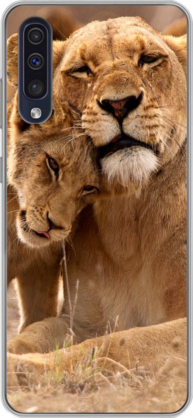 Coque Samsung Galaxy A30s – Lion – Animaux sauvages – Cub – Coque de téléphone en Siliconen