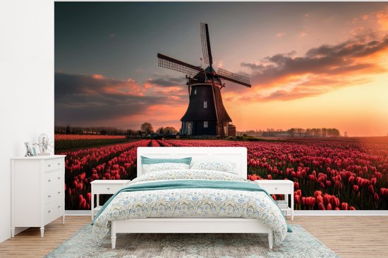 Behang – Fotobehang Molen – Zonsondergang – Tulpen – Rood – Breedte 295 cm x hoogte 220 cm