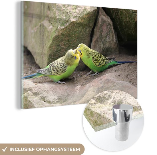 Deux perruches sont gentilles l&rsquo;une avec l&rsquo;autre sur un tas de roches Plexiglas 60×40 cm – Tirage photo sur Glas (décoration murale en plexiglas)