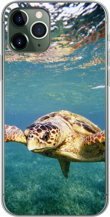 Coque iPhone 11 Pro – Tortue – Water – Blauw – Coque de téléphone en Siliconen
