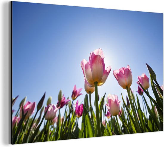 Décoration murale Métal – Peinture Aluminium Industriel – Les tulipes roses se détachent sur le ciel bleu – 180×120 cm – Dibond – Photo sur aluminium – Décoration murale industrielle – Pour le salon/chambre