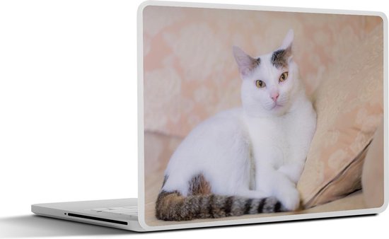 Autocollant pour ordinateur portable – 12,3 pouces – Chat – Wit – Canapé – Filles – Enfants – Garçons – Kids
