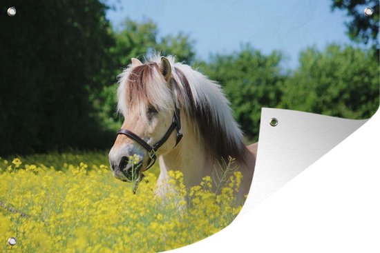 Décoration murale Cheval – Fleurs – Jaune – 180×120 cm – Poster jardin – Toile jardin – Poster extérieur