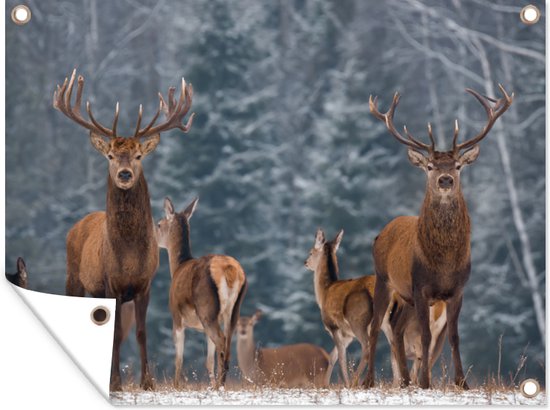 Décoration de Jardin Cerf – Hiver – Neige – Animaux de la forêt – Forêt – 40×30 cm – Toile de jardin – Poster extérieur