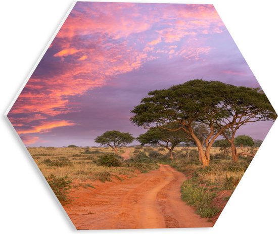 Feuille de Mousse PVC Hexagone – Ciel Rose sur Paysage Plat avec Quelques Arbres – 30×26,1 cm Photo sur Hexagone (Avec Système d&rsquo;accrochage)