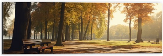 Dibond – Arbres – Banc – Parc – Feuilles – 60×20 cm Photo sur Aluminium (Décoration murale en métal)