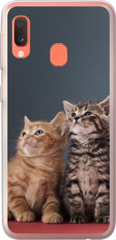Coque Samsung Galaxy A20e – Chatons – Blauw – Rose – Filles – Enfants – Garçons – Enfant – Coque de téléphone en Siliconen