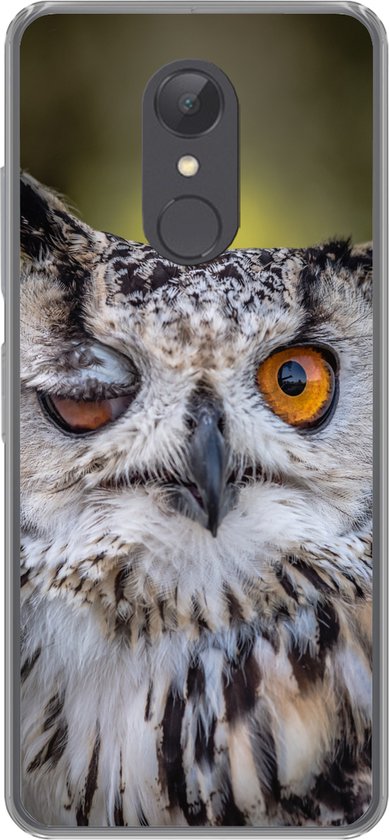 Coque Xiaomi Redmi 5 – Hibou – Oeil – Oranje – Coque de téléphone en Siliconen