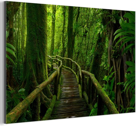 Décoration murale Métal – Peinture Aluminium Industriel – Jungle – Pont – Mousse – Nature – Tropical – 150×100 cm – Dibond – Photo sur aluminium – Décoration murale industrielle – Pour le salon / chambre