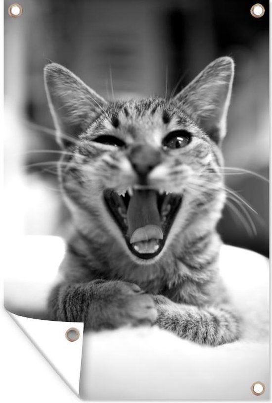 Décoration de jardin Chat bâillant de près – noir et blanc – 40×60 cm – Poster jardin – Toile jardin – Poster extérieur