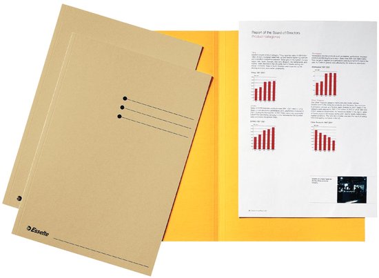 Classeur Esselte gemmes carton de 180 g / m�� paquet de 100 pièces