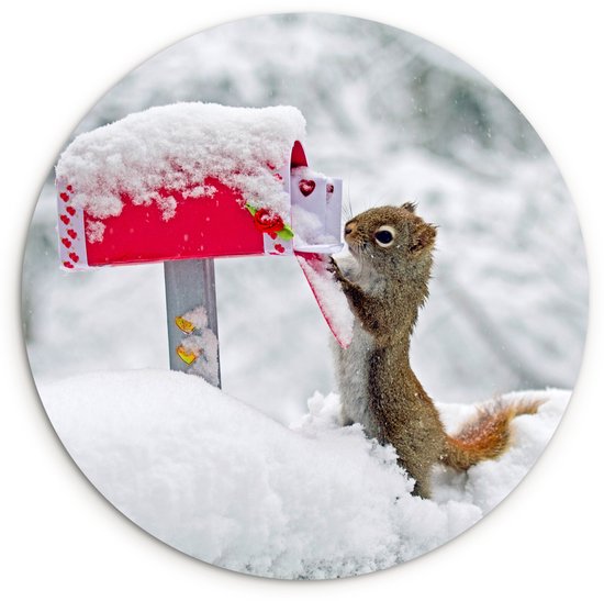 Écureuil en hiver ramassant ses cartes de la Saint-Valentin Assiette en plastique cercle mural ⌀ 120 cm – tirage photo sur cercle mural / cercle vivant (décoration murale) XXL / Groot format!