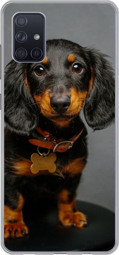 Coque Samsung Galaxy A71 – Studio photo de chiot teckel – Siliconen – Sinterklaas – Noël – Cadeaux – Cadeaux de chaussures