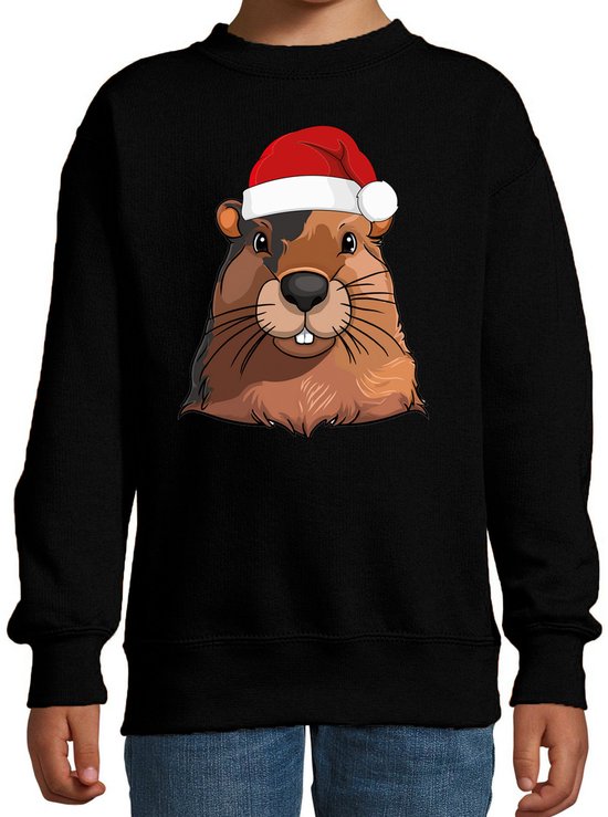Bellatio Decorations Pull / sweater famille Castor – enfants – animaux – noir – bonnet de Noël – Noël 152/164