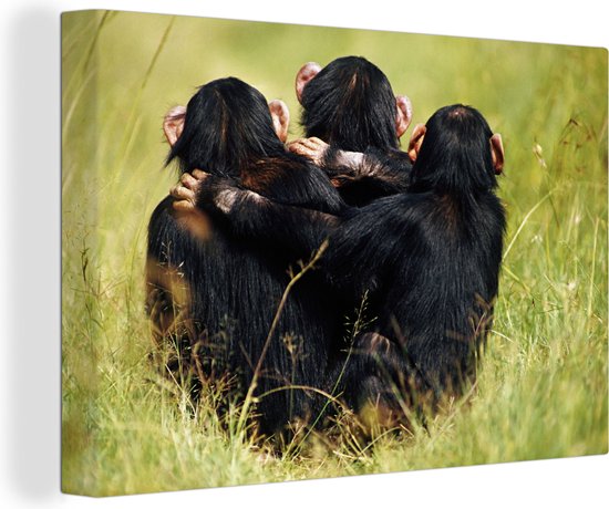 Tableau sur toile Singe – Herbe – Animaux – 150×100 cm – Décoration murale