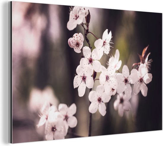 Décoration murale métal – Peinture aluminium industrielle – Fleurs – Wit – Nature – Plante – Fleur – 90×60 cm – Dibond – Photo sur aluminium – Décoration murale industrielle – Pour le salon/chambre