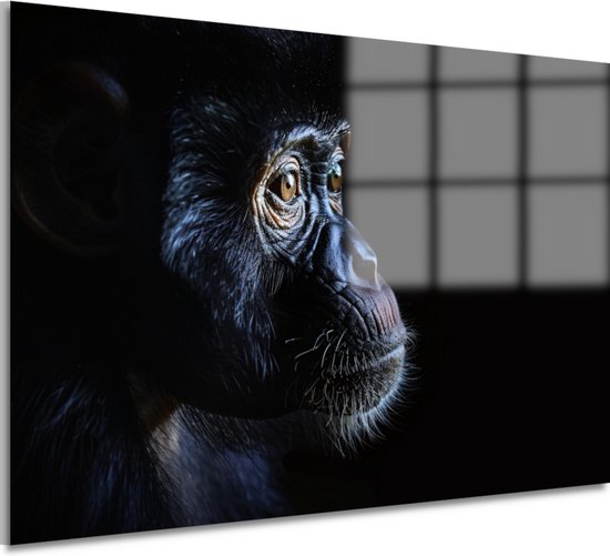 Décoration murale singe – Peinture sur verre animaux – Peintures verre Œil – Décoration murale chambre d&rsquo;enfant – Acrylate – Décoration murale salon verre acrylique 75×50 cm
