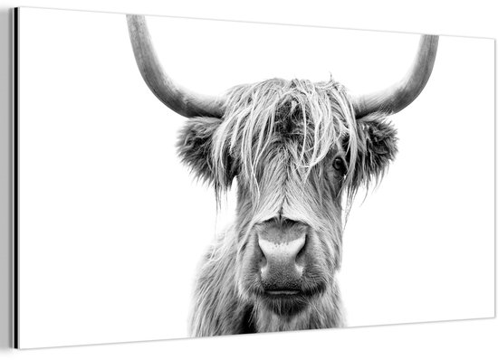Décoration murale Métal – Peinture Aluminium Industrielle – Highlander écossais – Taureau – Animaux – Zwart – Wit – 40×20 cm – Dibond – Photo sur aluminium – Décoration murale industrielle – Pour le salon / chambre