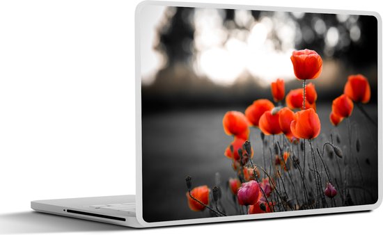 Autocollant pour ordinateur portable – 17,3 pouces – Coquelicots rouges sur fond noir avec fond blanc – 40x30cm – Autocollants pour ordinateur portable – Peau pour ordinateur portable – Couverture