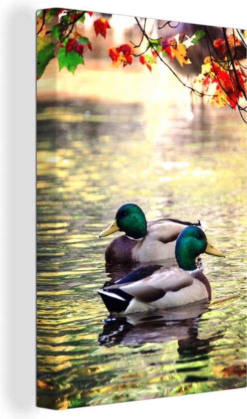 Deux canards sauvages dans un beau paysage Toile 40×60 cm – Tirage photo sur toile (Décoration murale salon / chambre)