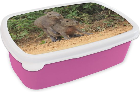 Boîte à lunch Rose – Boîte à lunch – Boîte à pain – Deux garçons Capybara jouent ensemble – 18x12x6 cm – Enfants – Fille – Cadeau Sinterklaas – Distribution de cadeaux pour enfants – Cadeaux chaussures Sinterklaas
