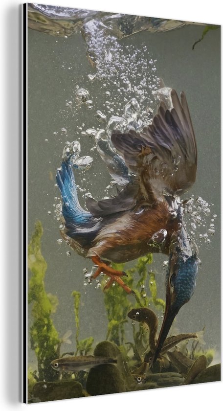 Décoration murale Métal – Peinture Aluminium – Martin Pêcheur – Nager – Poisson – 80×120 cm