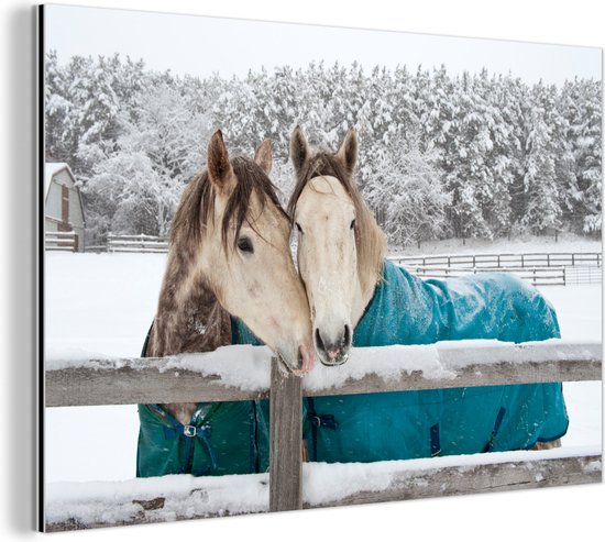 Décoration murale Métal – Peinture Aluminium Industriel – Paarden – Couverture – Neige – 180×120 cm – Dibond – Photo sur aluminium – Décoration murale industrielle – Pour le salon/chambre