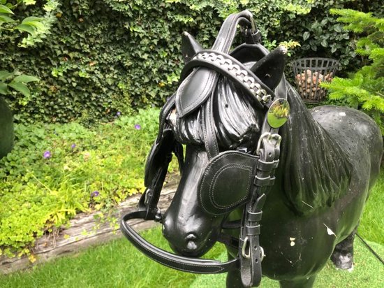 Bride Cheval – Complète