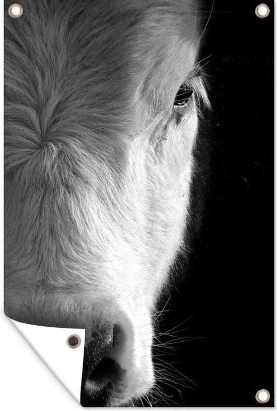 Décoration murale Image zoomée d&rsquo;une vache – noir et blanc – 120×180 cm – Poster jardin – Toile jardin – Poster extérieur